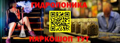 крисы Пыть-Ях