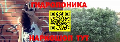 крисы Пыть-Ях