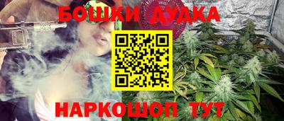 крисы Пыть-Ях