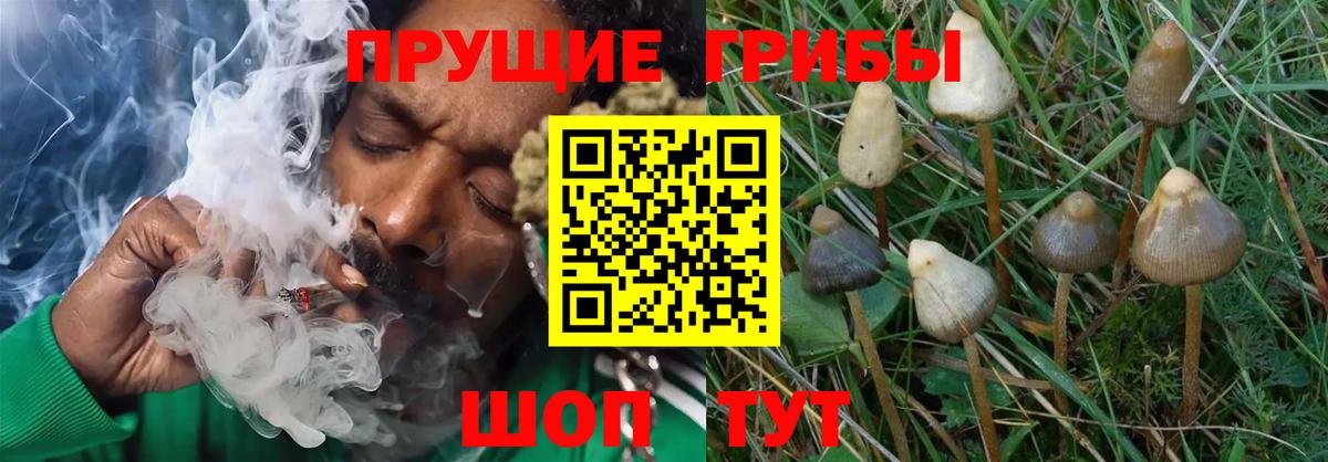 Cocaine  Вход с VPN  Марихуана  Меф кристаллы  Гашиш  МЕТ  Вейп ТГК  Alpha-PVP СК кристаллы  Светлоград  Меф МЯУ МЯУ 
